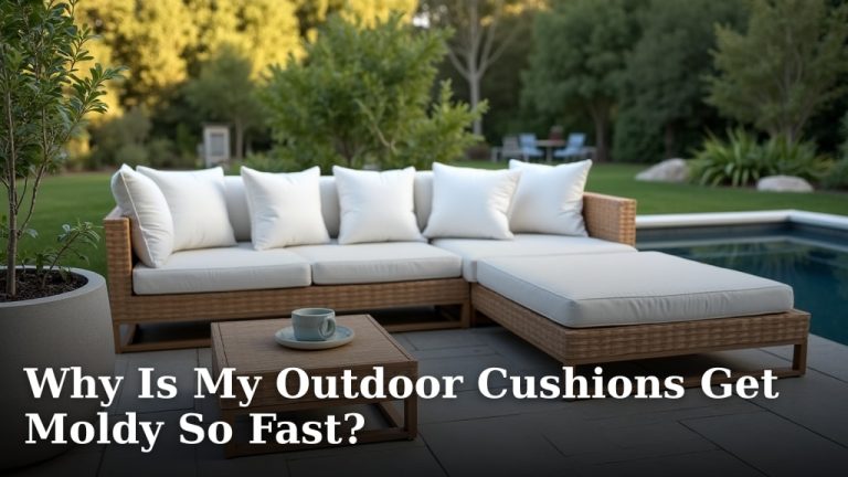 Why Is My Outdoor Cushions Get Moldy So Fast?